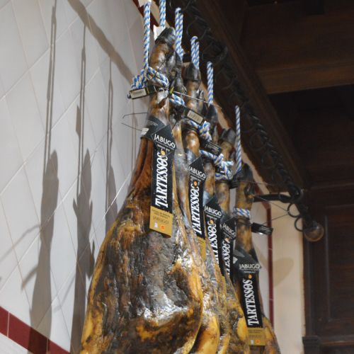 Iberian cellar at Casa Machín, Écija