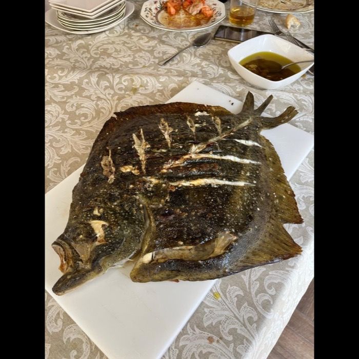 Chargrilled turbot at Casa Machín, Écija